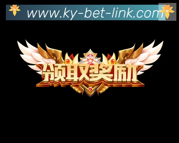奖项证书